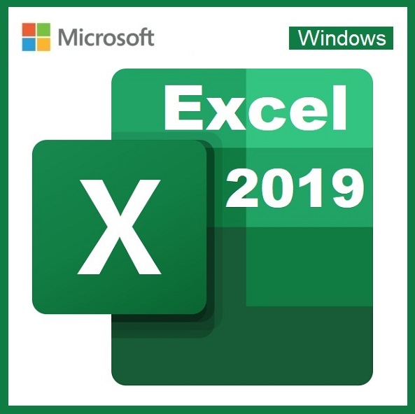 Microsoft Excel 2019 <br>Professional<br> 